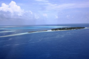 Vilamendhoo Island Resort Ari Sud Maldive 13