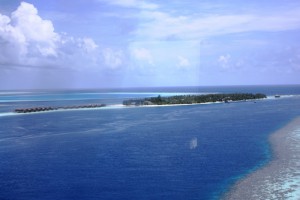 Vilamendhoo Island Resort Ari Sud Maldive 11