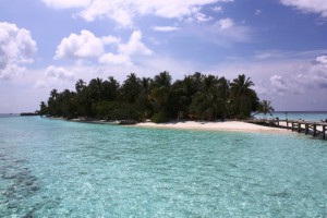 Vilamendhoo Island Resort Ari Sud Maldive 8