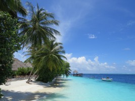 Vilamendhoo Island Resort Ari Sud Maldive 15