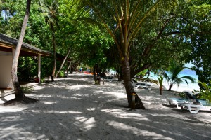 Vilamendhoo Island Resort Ari Sud Maldive 9