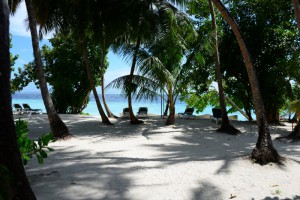 Vilamendhoo Island Resort Ari Sud Maldive 15