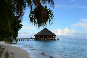 Vilamendhoo Island Resort Ari Sud Maldive 27