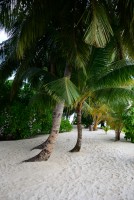 Vilamendhoo Island Resort Ari Sud Maldive 28