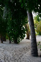 Vilamendhoo Island Resort Ari Sud Maldive 31