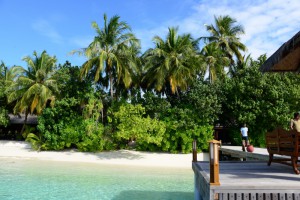 Vilamendhoo Island Resort Ari Sud Maldive 58