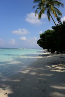 Vilamendhoo Island Resort Ari Sud Maldive 64