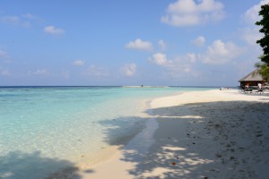Vilamendhoo Island Resort Ari Sud Maldive 66
