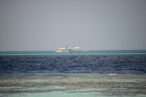 Vilamendhoo Island Resort Ari Sud Maldive 86