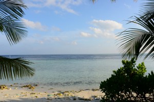 Vilamendhoo Island Resort Ari Sud Maldive 110