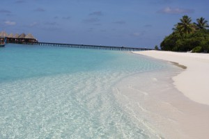 Angaga Island Resort Ari Sud Maldive 7