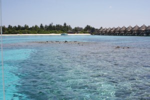 Angaga Island Resort Ari Sud Maldive 8