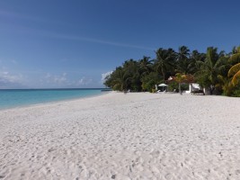 Athuruga Diamonds Island Resort Ari Sud Maldive 17