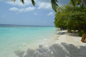 Vilamendhoo Island Resort Ari Sud Maldive 17