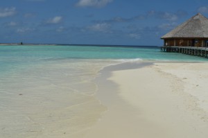 Vilamendhoo Island Resort Ari Sud Maldive 4