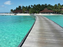 Thudufushi Diamonds Island Resort Ari Sud Maldive 2