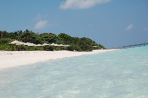 The Barefoot Eco Hotel Haa Dhaalu Maldive 2