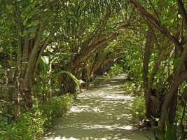 Eriyadu Island Resort Male Nord Maldive 5