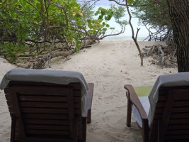 Eriyadu Island Resort Male Nord Maldive 8