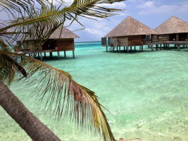 Gangehi Island Resort Ari Nord Maldive 13