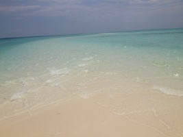 Gangehi Island Resort Ari Nord Maldive 15