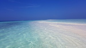 Gangehi Island Resort Ari Nord Maldive 20