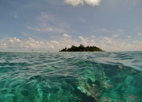 Maayafushi Maldives Ari Nord Maldive 9