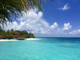 Thudufushi Diamonds Island Resort Ari Sud Maldive 2