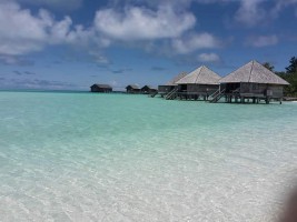 Gangehi Island Resort Ari Nord Maldive 2