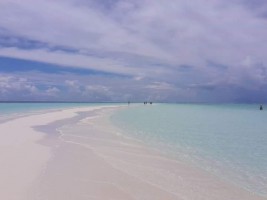 Gangehi Island Resort Ari Nord Maldive 4