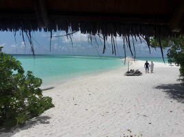 Gangehi Island Resort Ari Nord Maldive 6