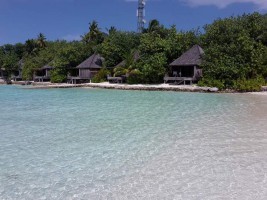 Gangehi Island Resort Ari Nord Maldive 8
