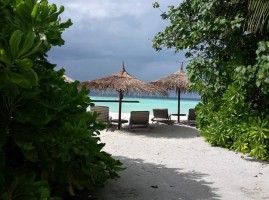 Gangehi Island Resort Ari Nord Maldive 11
