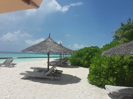 Gangehi Island Resort Ari Nord Maldive 12