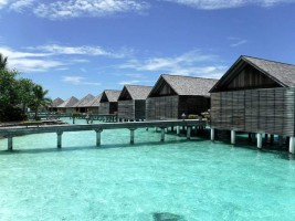 Gangehi Island Resort Ari Nord Maldive 14