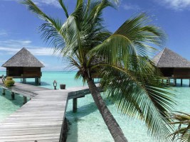 Gangehi Island Resort Ari Nord Maldive 15