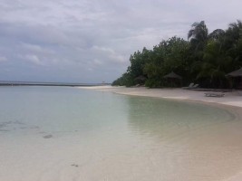 Gangehi Island Resort Ari Nord Maldive 23