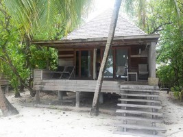 Gangehi Island Resort Ari Nord Maldive 24