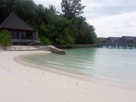 Gangehi Island Resort Ari Nord Maldive 25