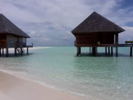 Gangehi Island Resort Ari Nord Maldive 55