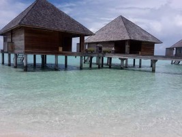 Gangehi Island Resort Ari Nord Maldive 56