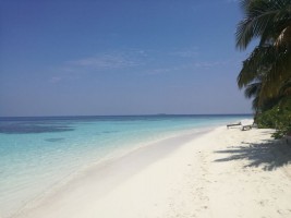 Bandos Island Resort Male Nord Maldive 3