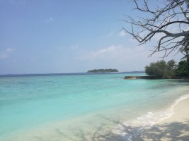 Bandos Island Resort Male Nord Maldive 7