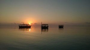 Maayafushi Maldives Ari Nord Maldive 18