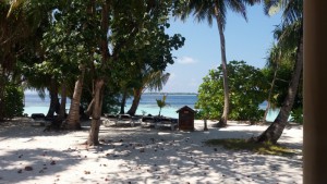 Vilamendhoo Island Resort Ari Sud Maldive 13