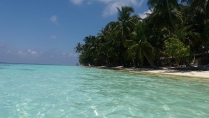 Vilamendhoo Island Resort Ari Sud Maldive 14