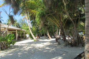 Vilamendhoo Island Resort Ari Sud Maldive 59