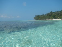 Maayafushi Maldives Ari Nord Maldive 19