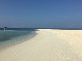 Maayafushi Maldives Ari Nord Maldive 4