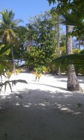 Rihiveli Maldives Resort Male Sud Maldive 4
